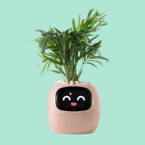 Zippy Plant