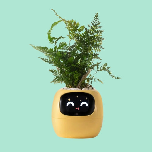 Zippy Plant